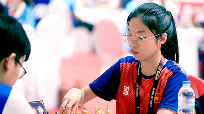 Wettkampfplan der vietnamesischen Schachmannschaft bei den 33. Südostasienspielen