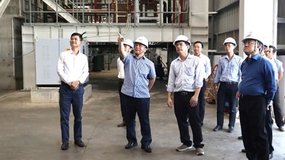 An Giang surveys biomass power model, prepares for 2 'trillion' projects