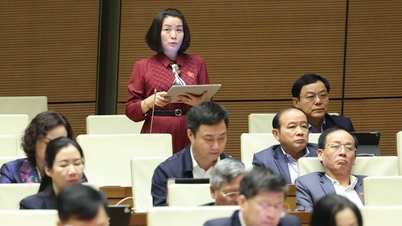 Delegații Adunării Naționale avertizează asupra situației alarmante actuale a divorțurilor