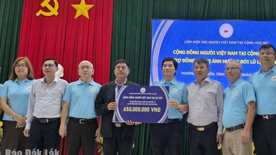 Liên hiệp Hội Người Việt Nam tại Cộng hòa Séc hỗ trợ gần 2,2 tỷ đồng giúp Đắk Lắk khắc phục hậu quả mưa lũ