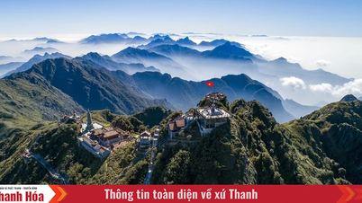 Fansipan បង្កើត​កំណត់ត្រា​៦​ដង​ជាប់​គ្នា​ជា​កន្លែង​ទេសចរណ៍​ទេសភាព​ធម្មជាតិ​ឈាន​មុខ​គេ​លើ​ពិភពលោក