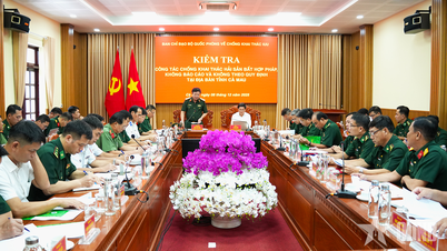 Ministerul Apărării Naționale inspectează activitățile de pescuit anti-INN din provincia Ca Mau