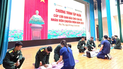 Divizia 316 organizează cursuri de prim ajutor pentru ofițeri și soldați