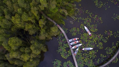 Kampung Terapung Tan Lap: Sesat di jalan raya melalui hutan kayu kajuput
