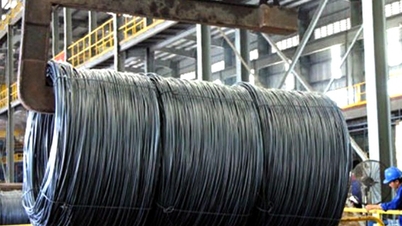 कनाडा सीमा सेवा एजेंसी (सीबीएसए) ने वियतनाम सहित कई देशों/क्षेत्रों से आयातित कार्बन स्टील तार और स्टील मिश्र धातु तार की एंटी-डंपिंग जांच में अंतिम निष्कर्ष जारी किया।