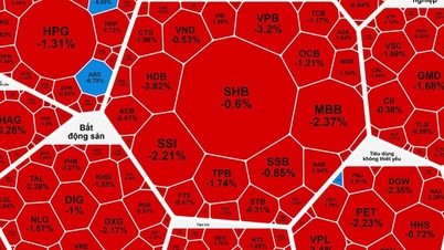 Zagraniczni inwestorzy sprzedali mocno, akcje VIC nie mogły już „nieść” indeksu