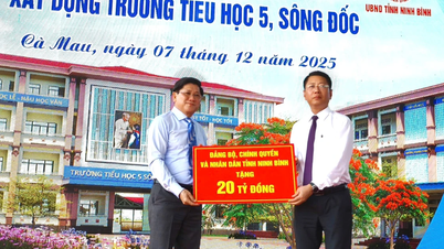 De Ninh Binh - L'affection de Ca Mau pour l'école permet aux élèves de la région d'étudier 2 sessions/jour.