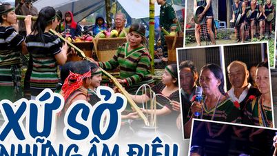 Nau M'pring i Ot N'drông: ślady kulturowe M'nong na mapie dziedzictwa Wietnamu