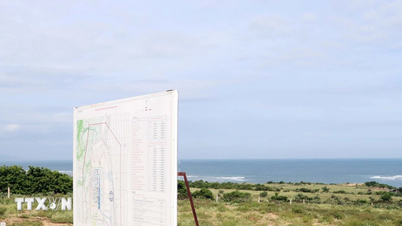 Содействовать реализации Закона об атомной энергии для обеспечения его эффективности.