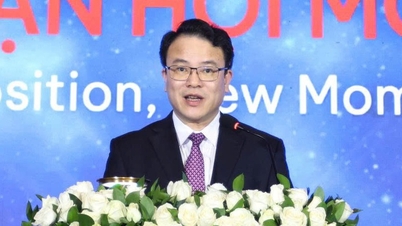 Вьетнам вносит поправки в законы и открывает учреждения для привлечения высококачественного прямого иностранного капитала.