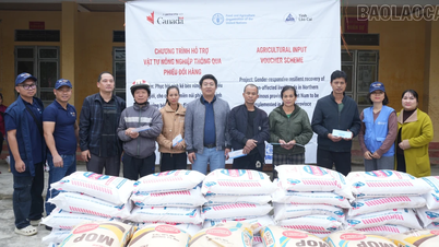 嵐八木で被災した世帯に400トン以上の肥料を支援