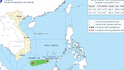 مشرقی سمندر کے جنوبی حصے میں کم دباؤ کا علاقہ سرگرم ہے۔