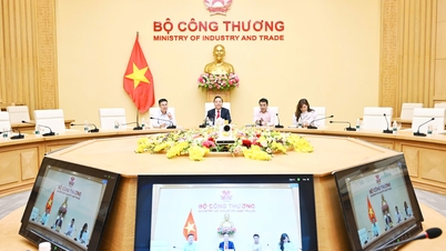 نائب وزیر Nguyen Hoang Long نے IEA ڈائریکٹر Fatih Birol کے ساتھ آن لائن کام کیا۔