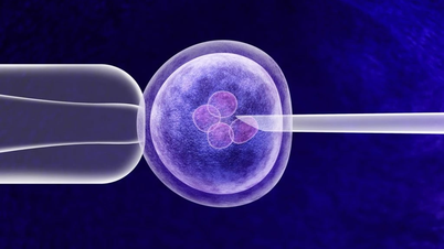 Trí tuệ nhân tạo giúp các cặp vợ chồng hiếm muộn sớm hiện thực hóa giấc mơ