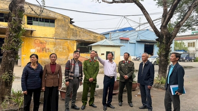 Forberedelser til tvungen rydding av tomt for å gjennomføre blomsterhageprosjekt ved rundkjøringen Cau Niem