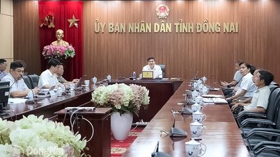 19 دسمبر کو لانگ تھانہ ہوائی اڈے پر تکنیکی فلائٹ آپریشن کو یقینی بنانا