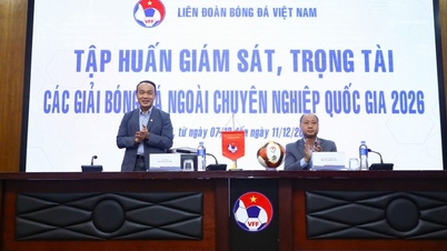 Képzés a 2026-os országos, nem profi labdarúgó tornák felügyelői és játékvezetői számára