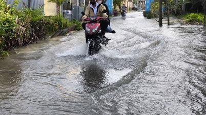Die Hochwasserstände in den Küstengebieten der nördlichen und südöstlichen Regionen nehmen tendenziell ab.