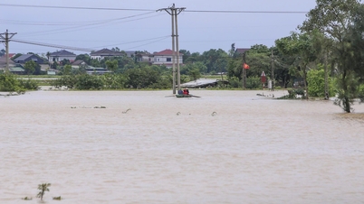 GCAP – Lösung zur Verwirklichung einer grünen Stadtvision in Vietnam