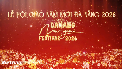 دا نانگ نے رنگین اور کثیر تجربے والے نئے سال کا تہوار 2026 متعارف کرایا ہے۔