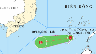 تشكلت منطقة ضغط منخفض، ومن المتوقع هطول أمطار غزيرة في فان رانغ وفان ثيت.