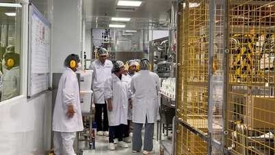 Die Fachwelt „bezeugt“ die Opella-Fabrik und das einzige Forschungs- und Entwicklungszentrum des Konzerns in Asien