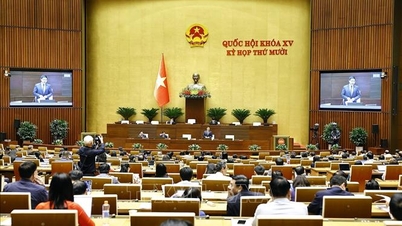 การพัฒนาสถาบันให้สมบูรณ์แบบ ขจัดอุปสรรค ขยายพื้นที่การพัฒนาประเทศ