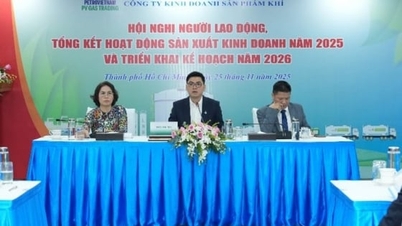 PV GAS TRADING får et sterkt gjennombrudd i 2025