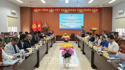 Promover a cooperação em investimentos com empresas do mercado Halal.