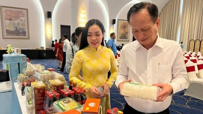 التحول الرقمي في شركة Ca Mau في الترويج التجاري واستهلاك منتجات OCOP