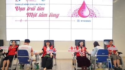 11th EVN Pink Week: ຄວາມຮັບຜິດຊອບ ແລະການແບ່ງປັນ