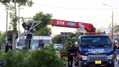 Odhodlání pro nový vzhled města