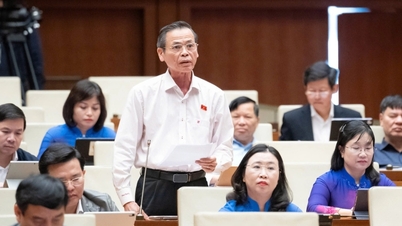 «Благодаря изменениям в политике НДС предприятия и фермеры столкнулись с меньшей нагрузкой»