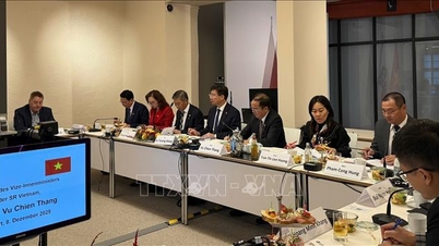 משרד הפנים של וייטנאם מקדם שיתוף פעולה בפיתוח משאבי אנוש עם גרמניה