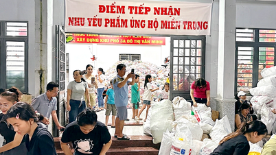 স্বরাষ্ট্র মন্ত্রণালয় দাতব্য ও সামাজিক তহবিল কার্যক্রম পরিচালনার জন্য নতুন নিয়মকানুন প্রস্তাব করেছে।