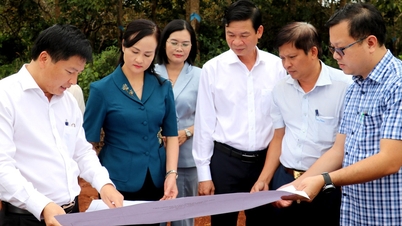 গিয়া এনঘিয়া - চোন থান এক্সপ্রেসওয়ে প্রকল্প: কেন এন্টারপ্রাইজটি বিওটি থেকে বিটি-তে বিনিয়োগের ফর্ম পরিবর্তন করার অনুরোধ করেছিল?