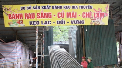 Huong Son meluncurkan kampanye untuk memperindah lanskap Pagoda Huong.