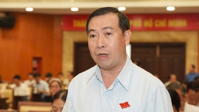 Przedstawiciele Rady Ludowej miasta Ho Chi Minh zaproponowali kompleksowy przegląd projektów „łatwych” i długotrwale „zawieszonych” projektów planistycznych.