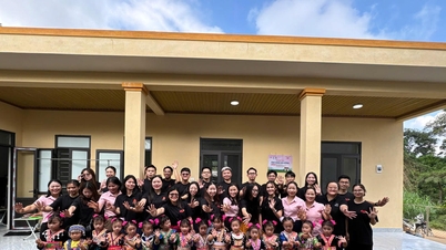 مروری بر "رسوایی" پروژه "Nguoi Em"