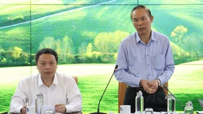 Le ministère de l'Agriculture et de l'Environnement accélère la réalisation des tâches conformément à la résolution 57-NQ/TW