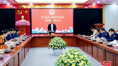 نشر خطة ذروة لمكافحة التهريب والغش التجاري والسلع المقلدة خلال تيت