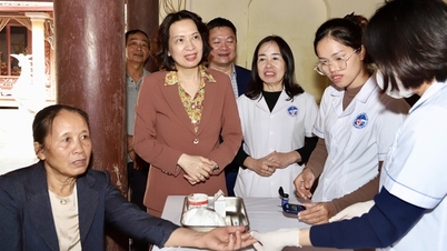 Ministerstvo zdravotnictví kontroluje práci seniorů v Ninh Binh a je stanoveno mnoho důležitých úkolů.