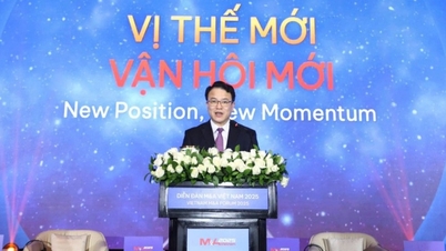 Fusie- en overnamehausse: buitenlands kapitaal snelt op jacht naar Vietnamese ondernemingen