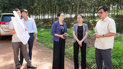 Overal in de provincie op de avond van 9 december 2025