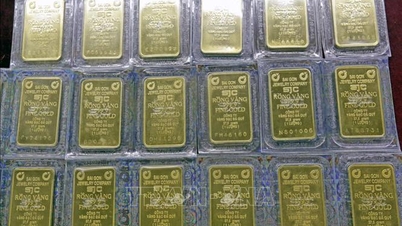O preço das barras de ouro diminuiu em 600.000 VND por tael na tarde de 29 de janeiro.