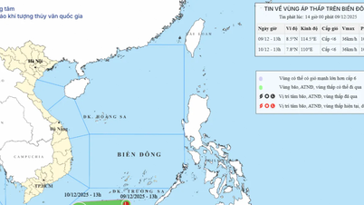দক্ষিণ পূর্ব সাগরে নতুন নিম্নচাপ অঞ্চলের আবির্ভাব, দক্ষিণ-মধ্য অঞ্চলে ভারী বৃষ্টিপাত