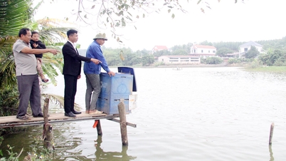 Efficacité des prêts pour la création d'emplois à Cam Ly