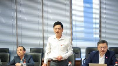 Etniska rådets ständiga kommitté samarbetar med ministerier och filialer