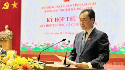 ২০২৫ সালে লাও কাইয়ের অর্থনৈতিক প্রবৃদ্ধি ৮.৫% অনুমান করা হয়েছে