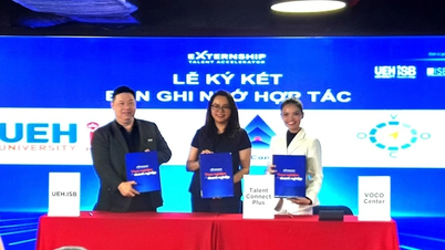 Conectando a los estudiantes con entornos laborales del mundo real